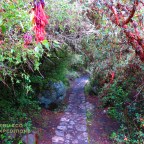 Classic Inca Trail Trek – Day 2